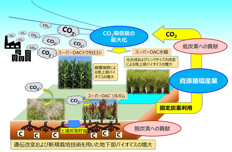 図1. 2050年までに目指すべき農業の姿（DAC農業）