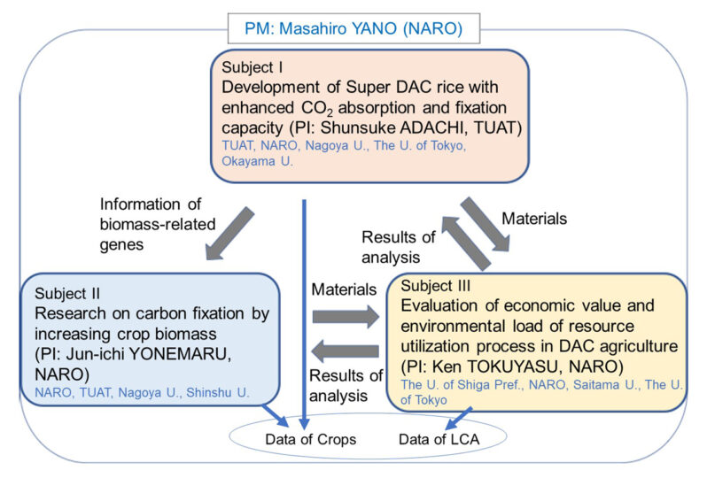 Figure 2．Relationship between our three research subjects