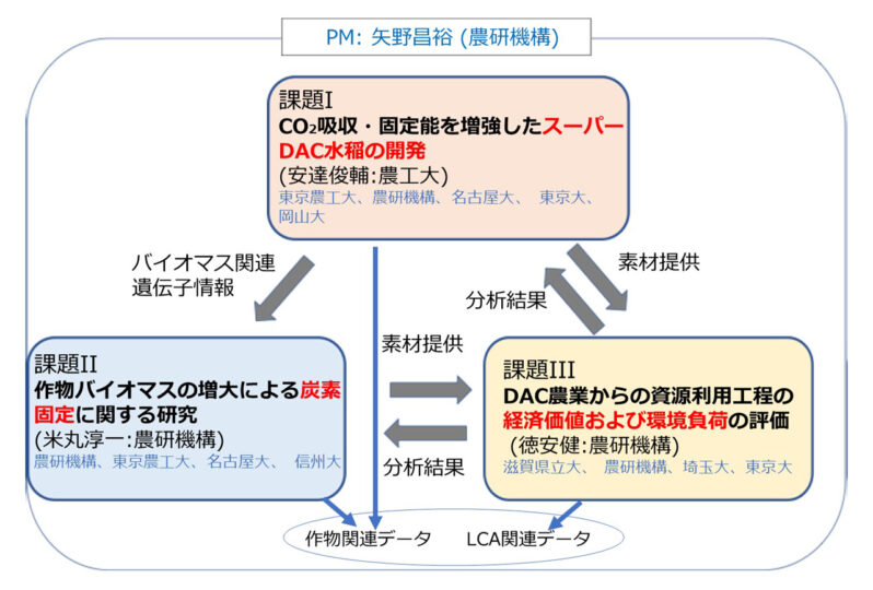 図2. 研究体制